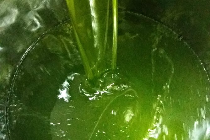 Olive Oil tour with Tuscan dinner - Why the food pairing makes the lesson work