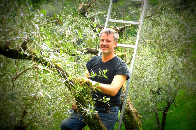 Olive Oil tour with Tuscan dinner - Agriturismo Tananei and the rural setting