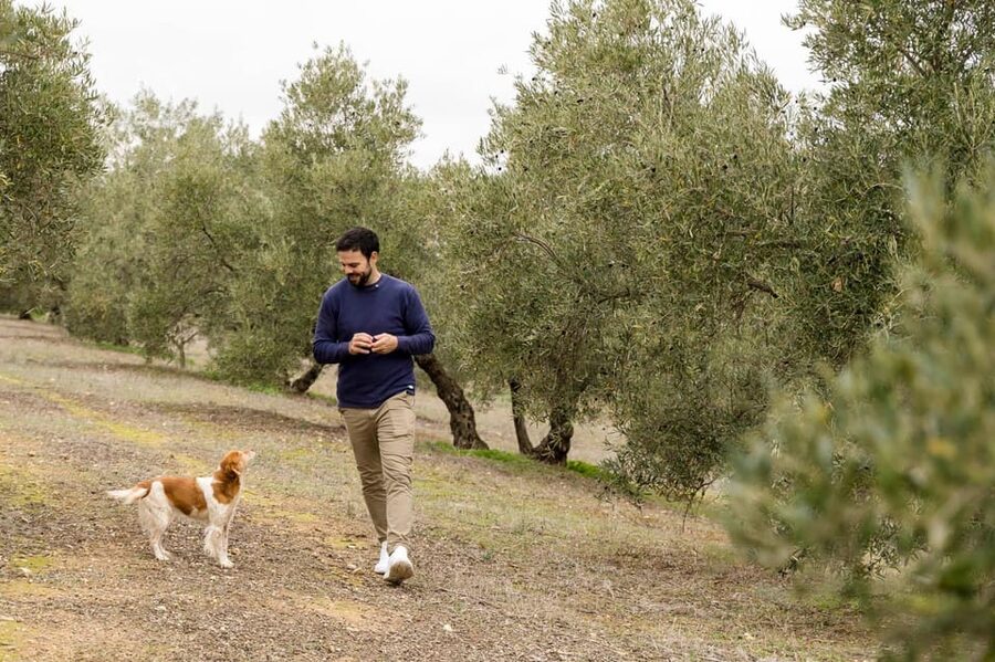 OLIVE OIL & WINE TOUR Organic fields - 5 Wines + 3Olive Oils - Key points to know before booking