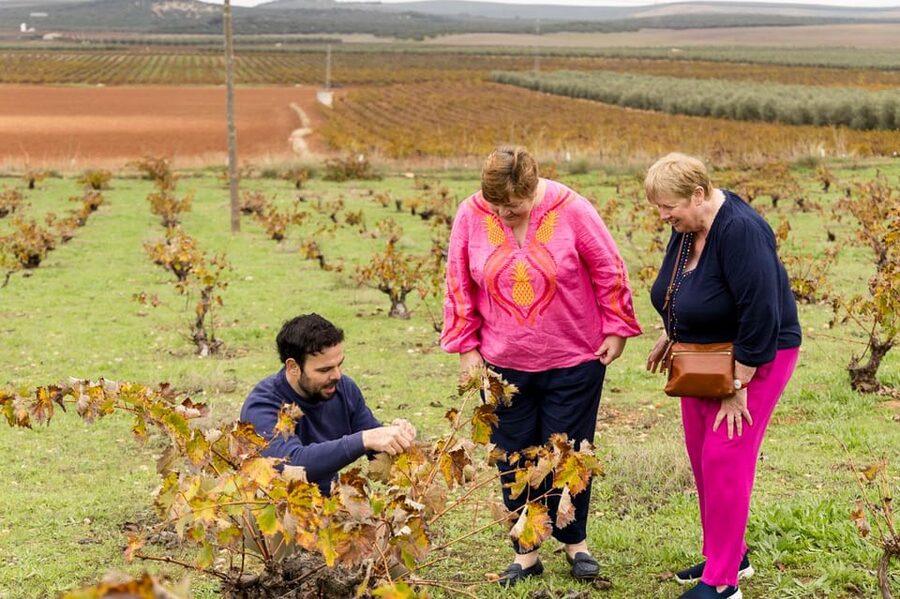 OLIVE OIL & WINE TOUR Organic fields - 5 Wines + 3Olive Oils - Who will enjoy this most