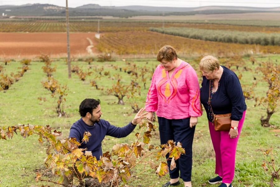 OLIVE OIL & WINE TOUR Organic fields - 5 Wines + 3Olive Oils - Walking through Mollina’s organic fields