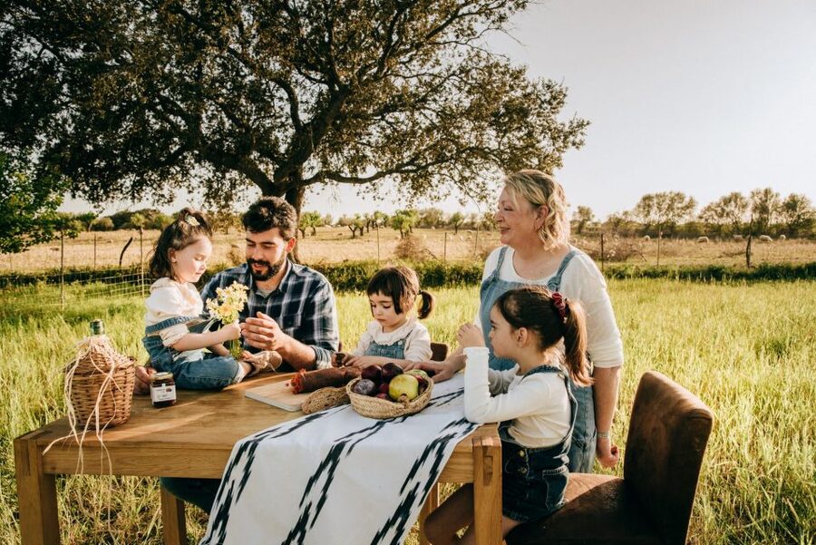 Olive plant and mill visit and tasting - Why the olive grove matters more than a shop tasting