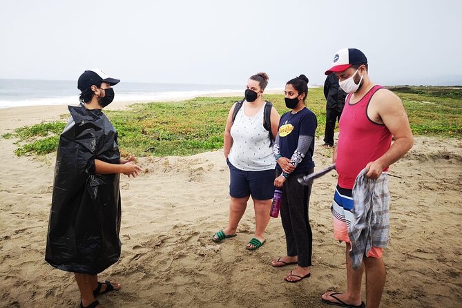 Olive Ridley Turtle Release Experience - A working turtle camp beyond Puerto Escondido
