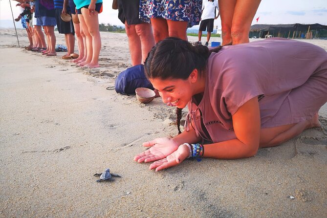 Olive Ridley Turtle Release Experience - Why olive ridley conservation matters during this short visit