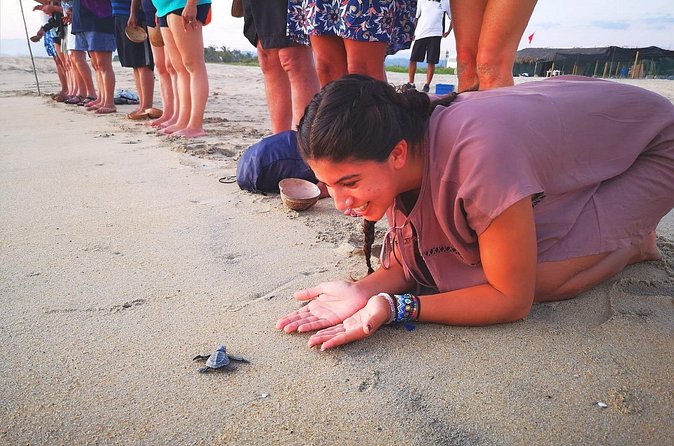 Olive Ridley Turtle Release Experience - Guides, language, and the quality of the ride