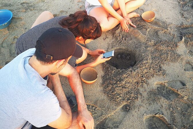 Olive Ridley Turtle Release Experience - Pickup at 4:00 pm, with one timing detail to check