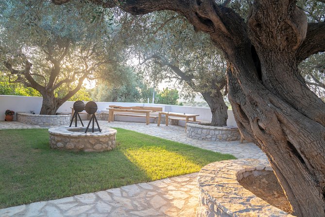 Olive Tour & Tasting - The Waterfall and Spring Stop Adds a Sense of Place