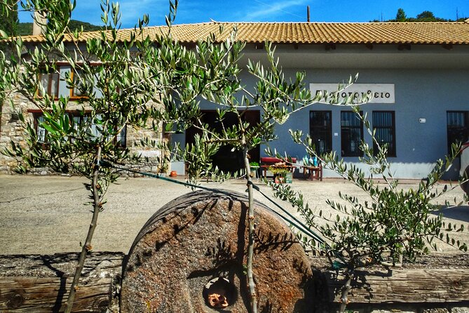 Olive Tour & Tasting - Buying Olive Oil and Souvenirs at the Mill