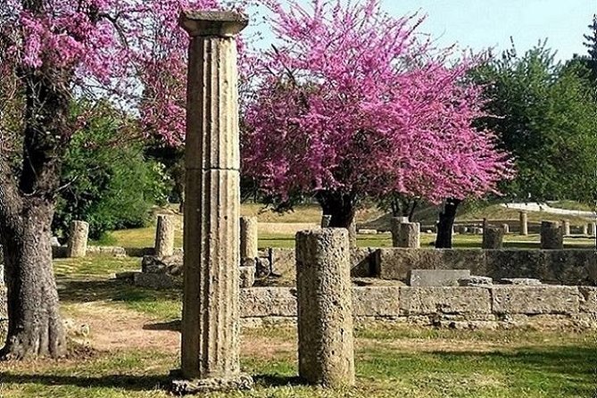 Olympia Shore Ex: Premium Private Package -Tickets & Olive Market - Price, pace, and the private-tour tradeoff