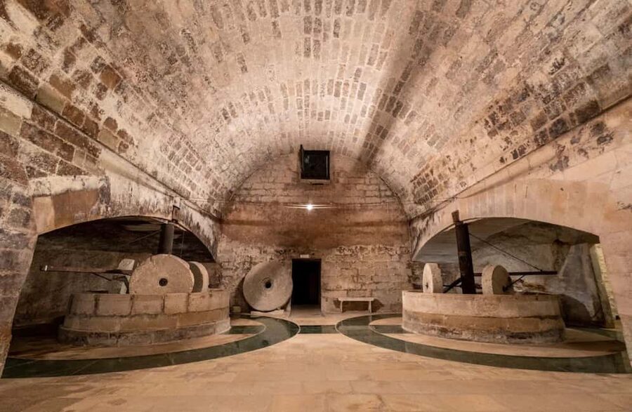 Organic Wine and Olive Oil Tasting Experience near Lecce - A working masseria, not just a tasting room