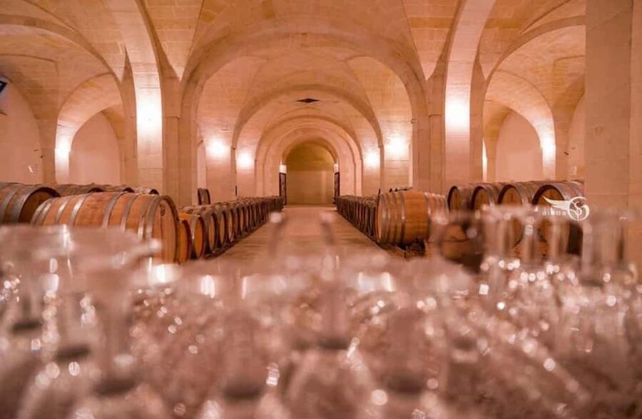 Organic Wine and Olive Oil Tasting Experience near Lecce - The underground oil mill tells the real story