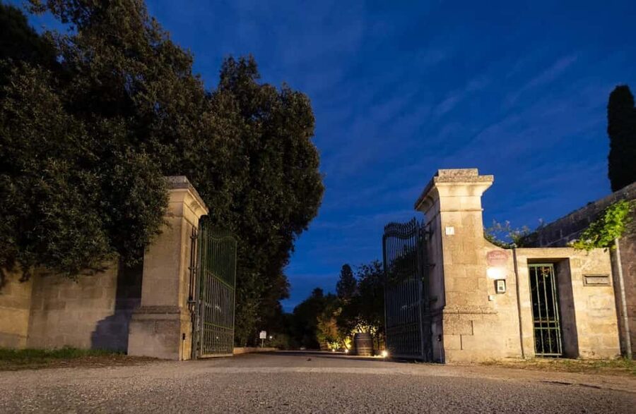 Organic Wine and Olive Oil Tasting Experience near Lecce - Taralli make the tasting feel local