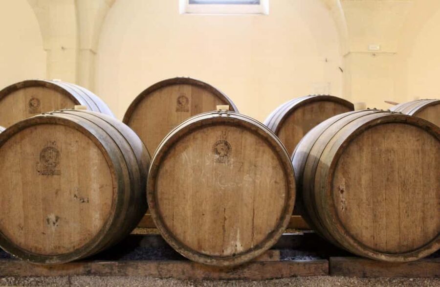 Organic Wine and Olive Oil Tasting Experience near Lecce - Is $57 a fair price?