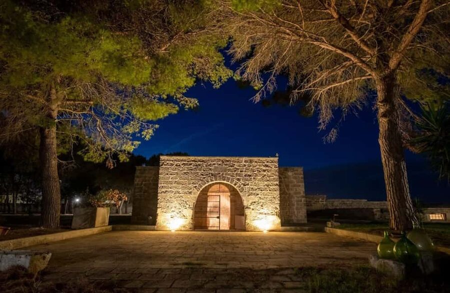 Organic Wine and Olive Oil Tasting Experience near Lecce - How to make the most of the 90 minutes