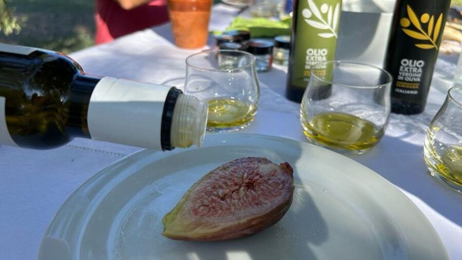 Oristano: Olive Tree Grove Guided Visit with Tasting - Who will enjoy this Sardinian experience most?
