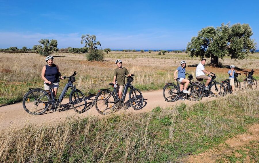 Ostuni: E-bike Tour, Ancient Olive Trees & Oil Tasting - Who should book this experience