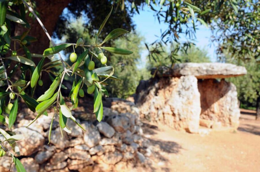 Ostuni: E-bike Tour, Ancient Olive Trees & Oil Tasting - Why this Ostuni bike tour feels different