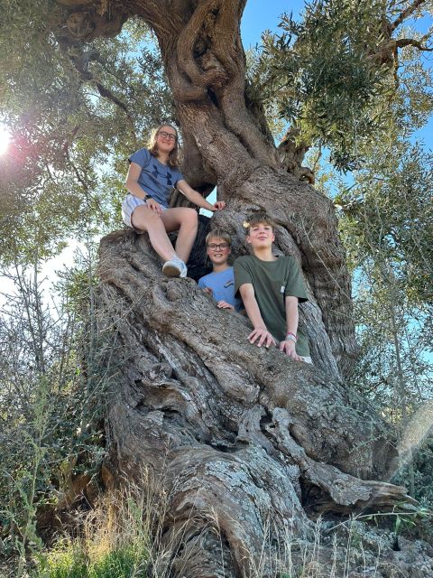 Ostuni: E-bike Tour, Ancient Olive Trees & Oil Tasting - Riding beneath centuries-old olive trees