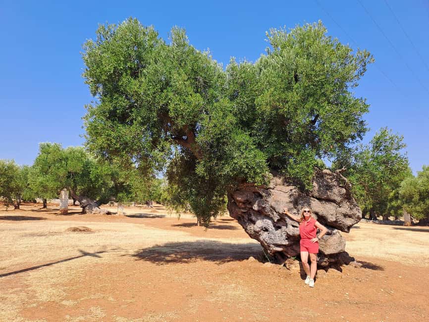 Ostuni: Guided e-bike tour to rock village & olive trees - Getting to Via Antonio Specchia