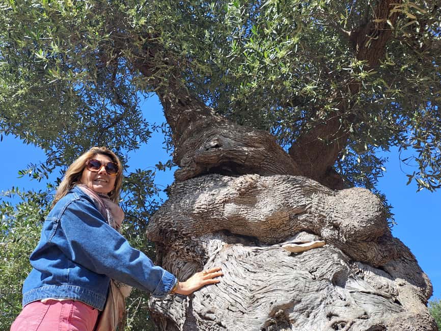Ostuni: Guided e-bike tour to rock village & olive trees - What the e-bike changes