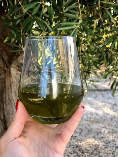 Ostuni: Masseria tour among thousand-year-old olive trees with oil tasting - Getting there from Ostuni