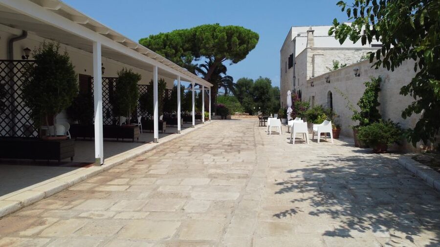 Ostuni: Olive Oil Tasting Tour - Timing, guides, and the pace of the visit