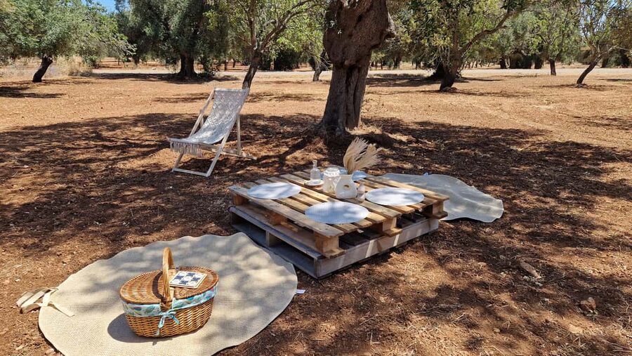 Ostuni: San Vito dei Normani: Organic Picnic in Olive Grove - Shade, hammocks, and old-fashioned games