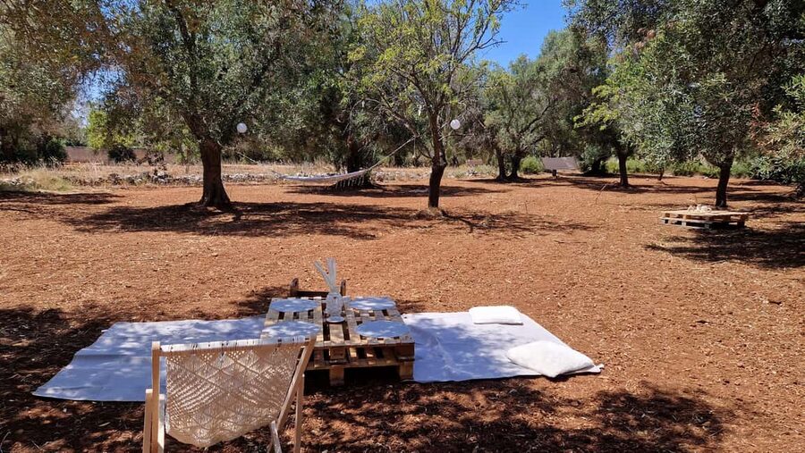 Ostuni: San Vito dei Normani: Organic Picnic in Olive Grove - The setting near Ostuni and Brindisi