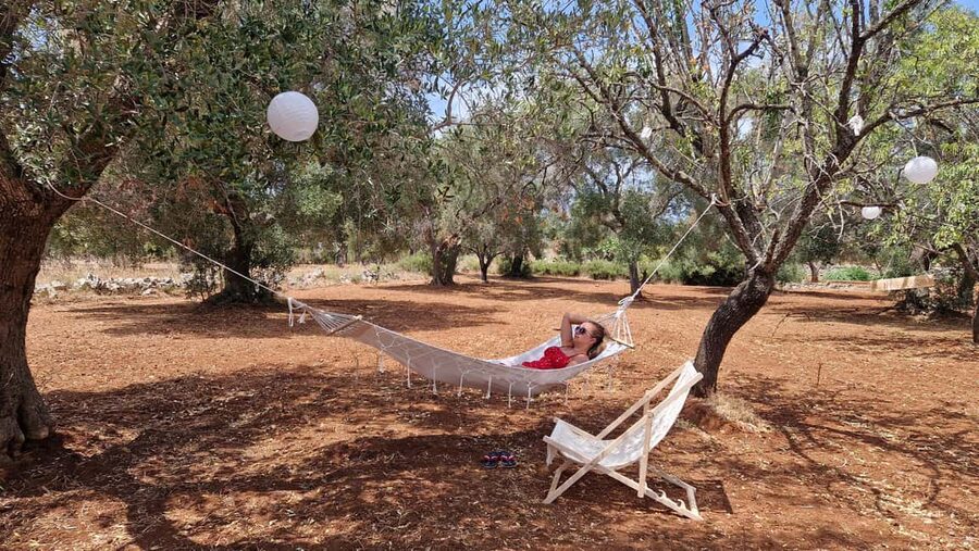 Ostuni: San Vito dei Normani: Organic Picnic in Olive Grove - Who will enjoy this best