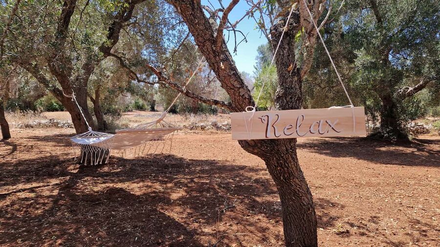 Ostuni: San Vito dei Normani: Organic Picnic in Olive Grove - Timing, language, and booking flexibility