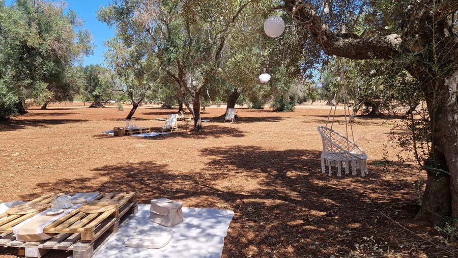 Ostuni: San Vito dei Normani: Organic Picnic in Olive Grove - Food presentation matters here