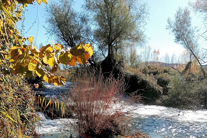 Paella, Olive Oil, Wine & Relax in Rural Estate outside Madrid - Timing, booking, and cancellation