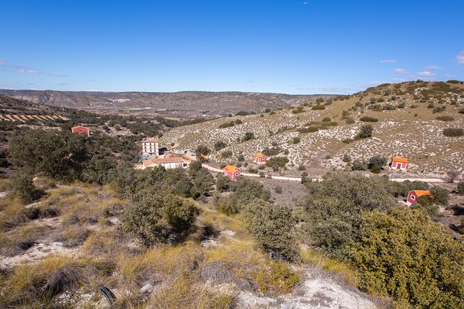 Paella, Olive Oil, Wine & Relax in Rural Estate outside Madrid - Entering the Agua de Carabaña estate