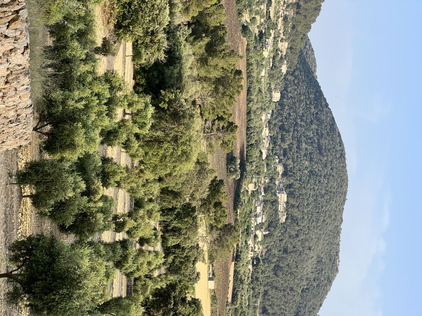 Palma: Orange Farm, Olive Mill, & Winery Tour with Tastings - Key points to know before booking