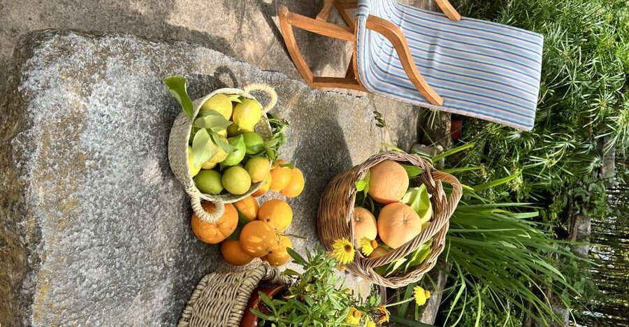 Palma: Orange Farm, Olive Mill, & Winery Tour with Tastings - The small olive mill and Mallorca’s oldest crop