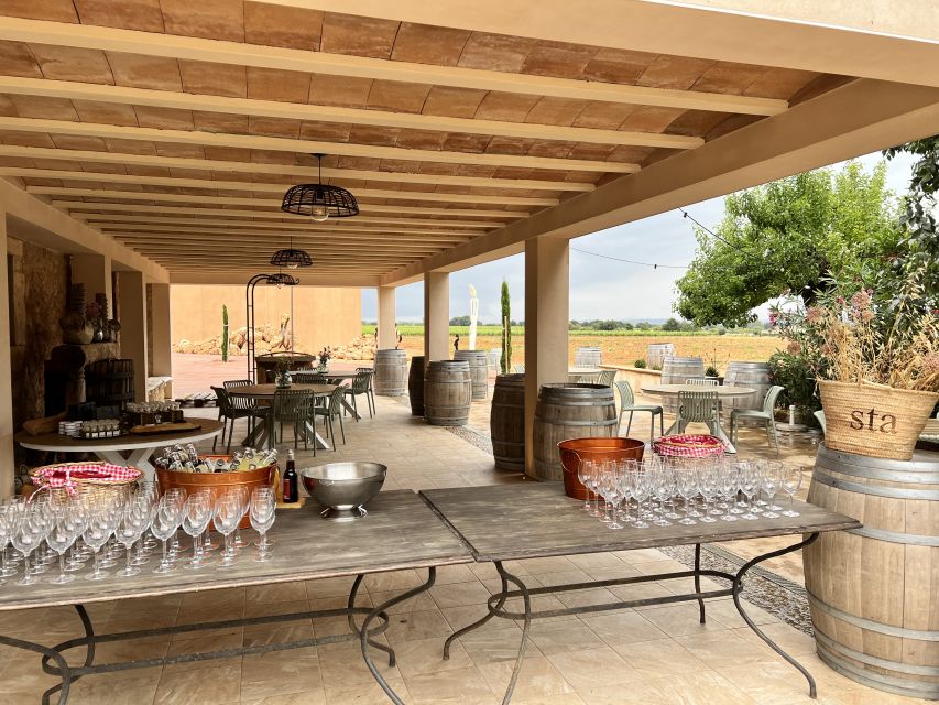 Palma: Orange Farm, Olive Mill, & Winery Tour with Tastings - Who will enjoy this most?