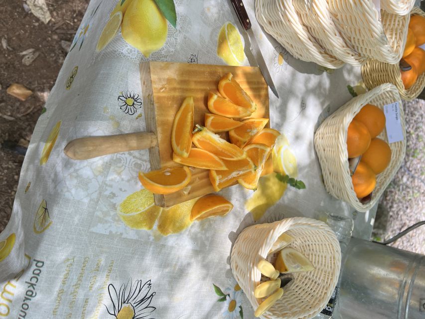 Palma: Orange Farm, Olive Mill, & Winery Tour with Tastings - Booking advice and practical details