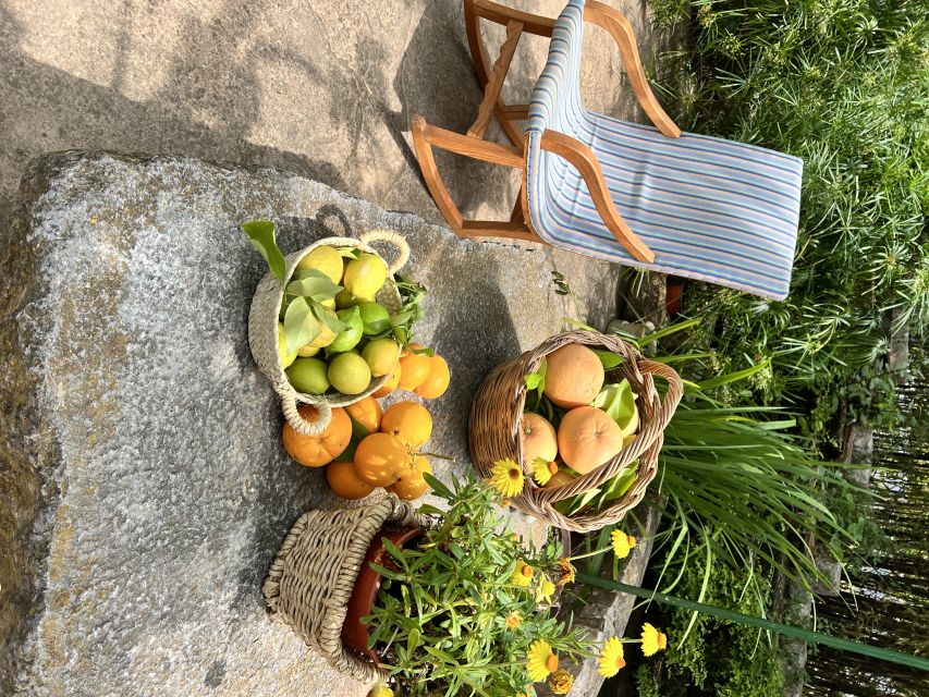 Palma: Orange Farm, Olive Mill, & Winery Tour with Tastings - Orange trees and a taste of Mallorca