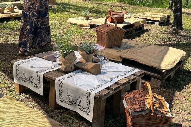 Picnic among the Olive Trees and Tasting of Oil and Local Flavors - A Tuscan Picnic Built Around Olive Oil