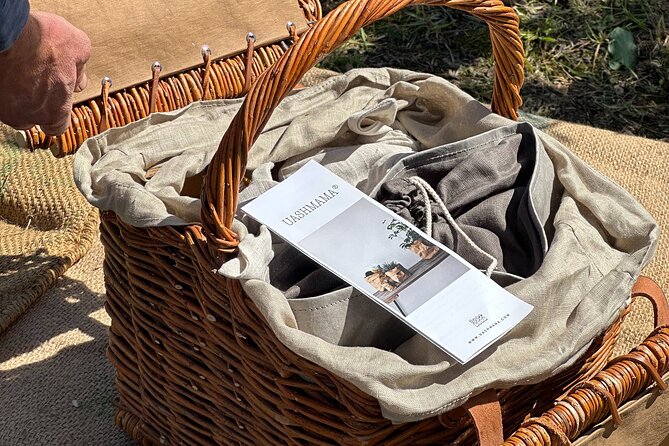Picnic among the Olive Trees and Tasting of Oil and Local Flavors - Free Time Among the Trees and Vineyards