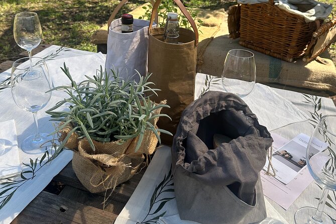 Picnic among the Olive Trees and Tasting of Oil and Local Flavors - The Final Toast With Wine or Olive-Leaf Tea