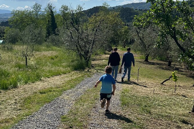 Picnic among the Olive Trees and Tasting of Oil and Local Flavors - Who Will Enjoy This Experience Most?