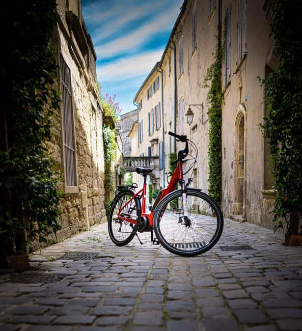 Picnic in the middle of olive groves by e-bike - At a glance