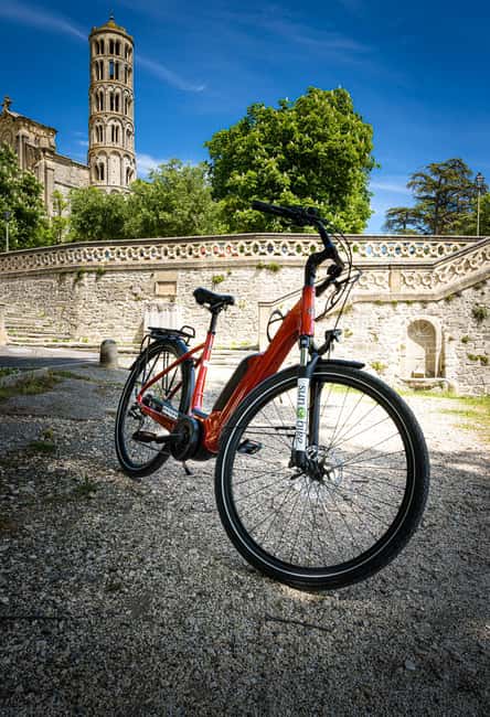 Picnic in the middle of olive groves by e-bike - A picnic among olive groves