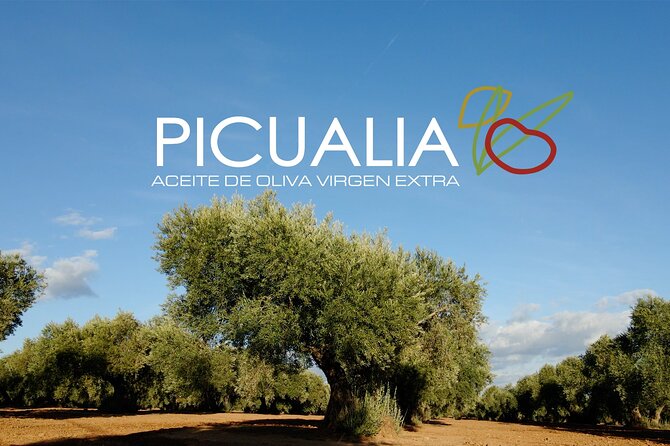Picualia, olive oil mill tour & EVOO tasting - Key points to know before booking