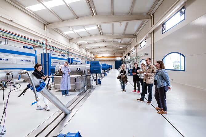 Picualia, olive oil mill tour & EVOO tasting - Inside Picualia’s modern mill