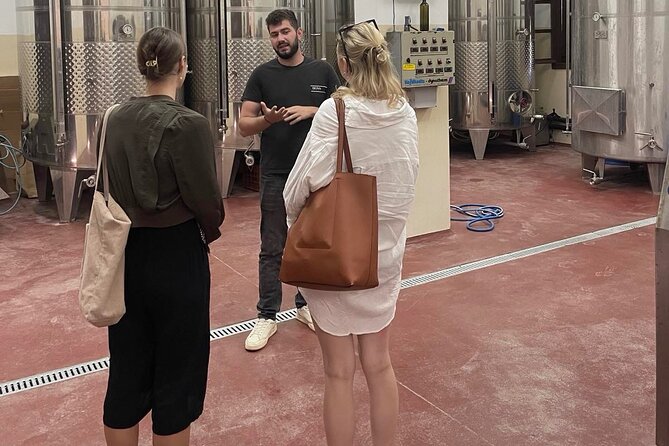Premium Cretan Olive Oil Tasting, Wine, Raki and Local Food Tour - Timing, pickup, and practical details