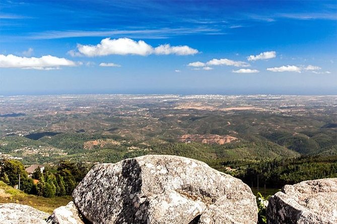 Premium gastronomic mountain tour: Wine, olive oil, spirits, food - Four wines at Quinta Do Frances