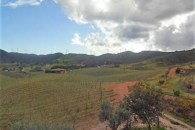 Premium gastronomic mountain tour: Wine, olive oil, spirits, food - Two hours of mountain cooking in Monchique