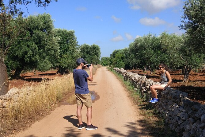 Private Bike Tour with Olive Oil Tasting - Understanding the olive oil tasting